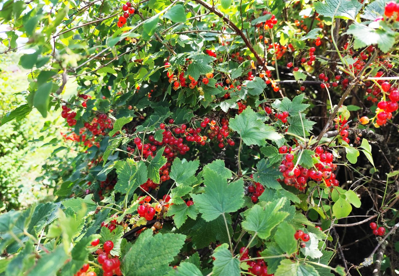 Stuga i Väderstad - SE10024