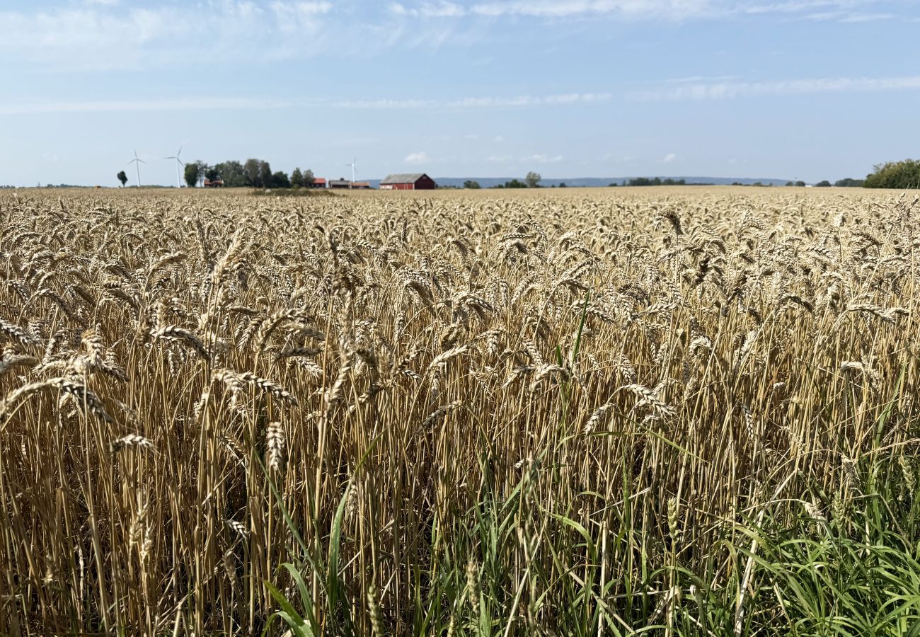 Stuga i Väderstad - SE10024