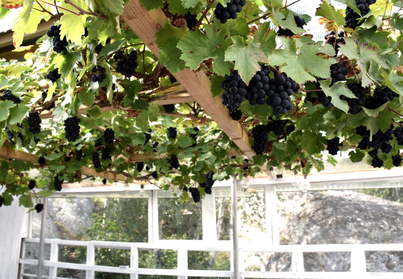 Stuga i Skärhamn - SE09149