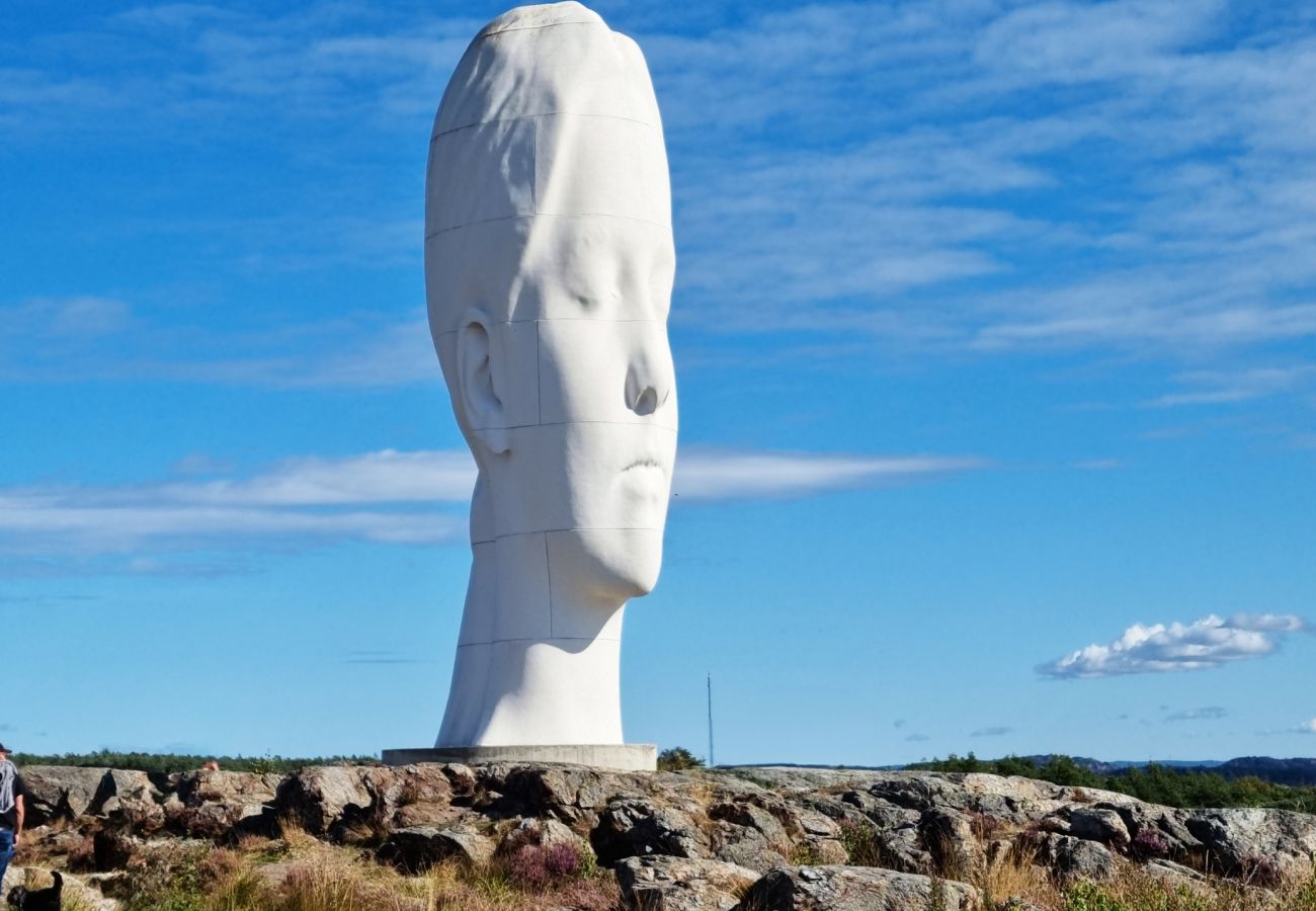 Stuga i Varekil - SE09153