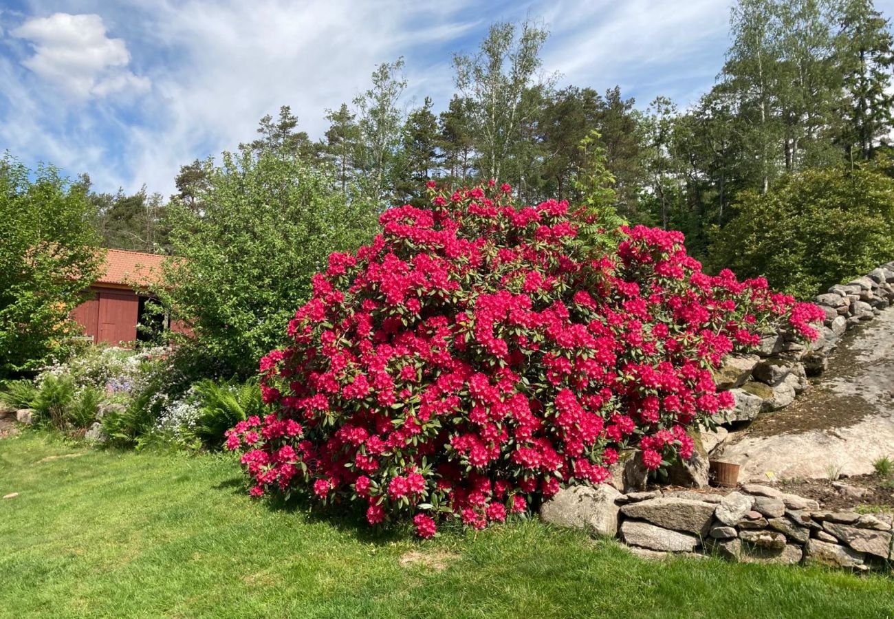 Stuga i Henån - SE09131