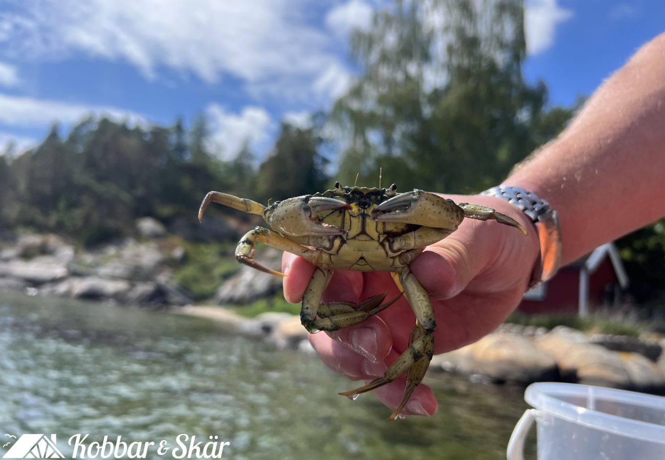 Stuga i Myggenäs - SE09170