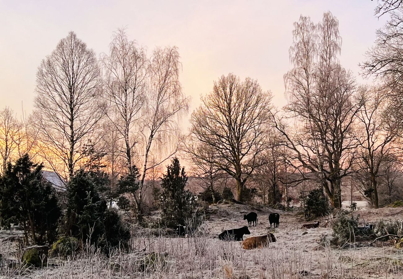 Stuga i Ljung - SE08016