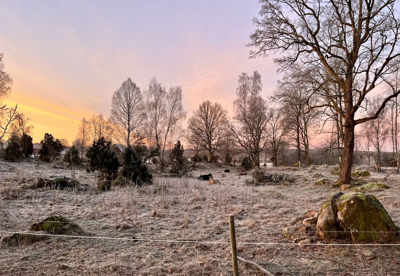 Stuga i Ljung - SE08016