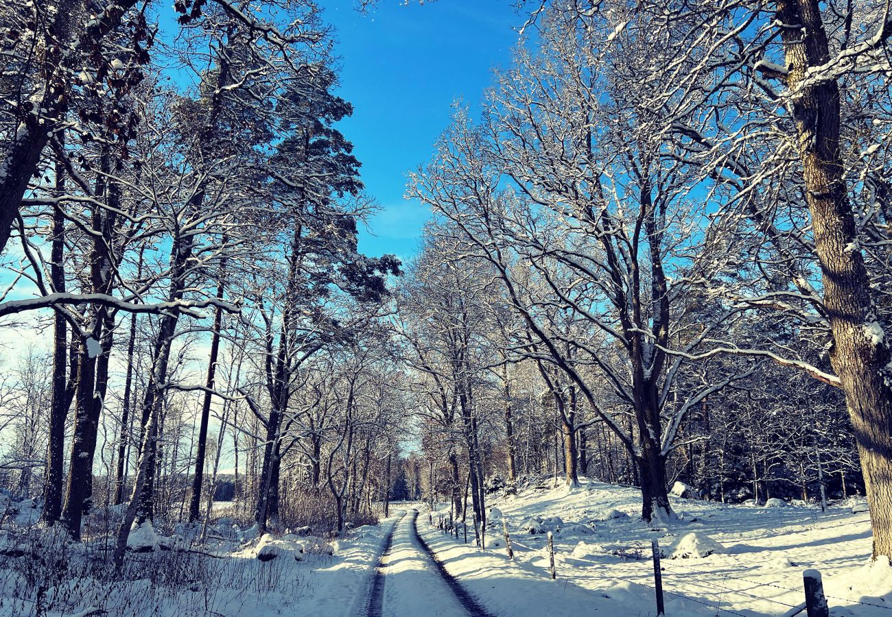 Stuga i Ljung - SE08016