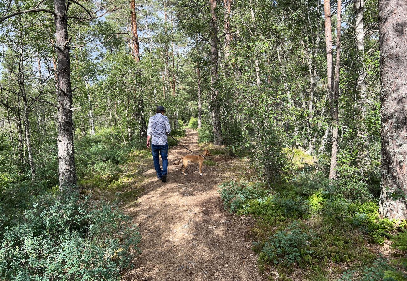 Stuga i Ljung - SE08016