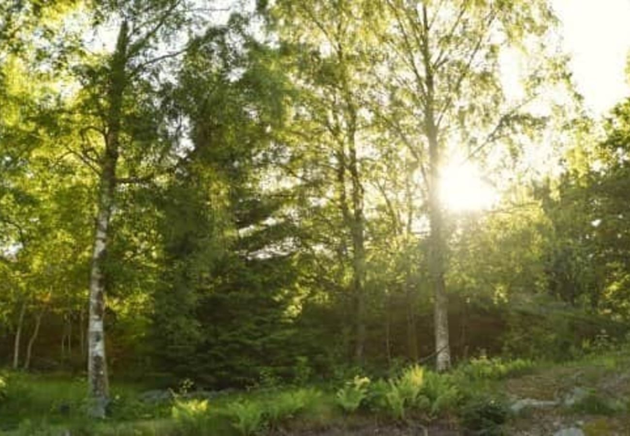 Stuga i Fagerfjäll - Lantlig stuga nära hav | SE09187