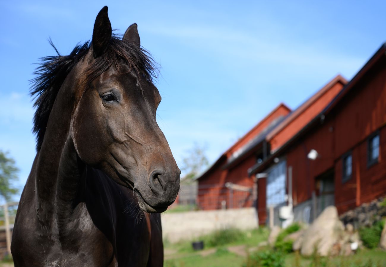 Stuga i Vena - Lantligt hus nära Astrid Lindgrens värld | SE05100